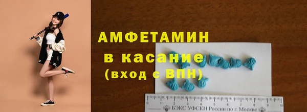 стафф Алексин