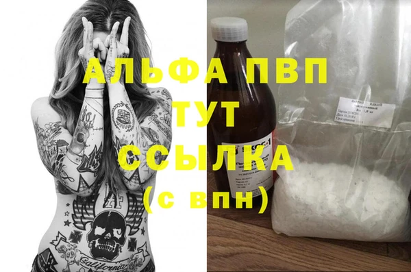 стафф Алексин