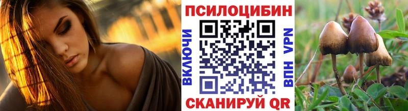 KRAKEN зеркало  Мураши  Псилоцибиновые грибы Cubensis  где купить наркоту 