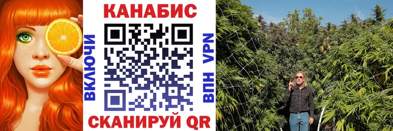 где можно купить наркотик  Мураши  Каннабис план 